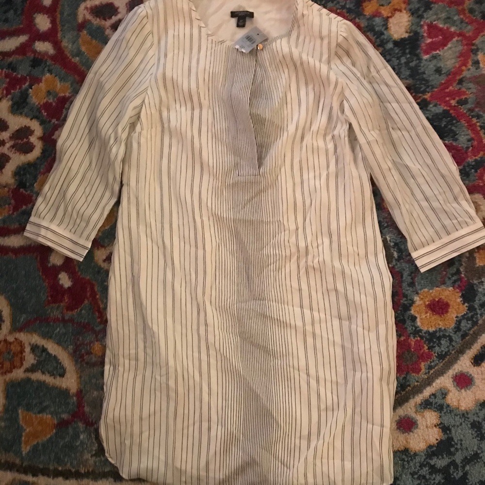 Ann Taylor Tunic Top Never Worn Size 2P